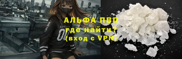 прущие грибы Алексеевка