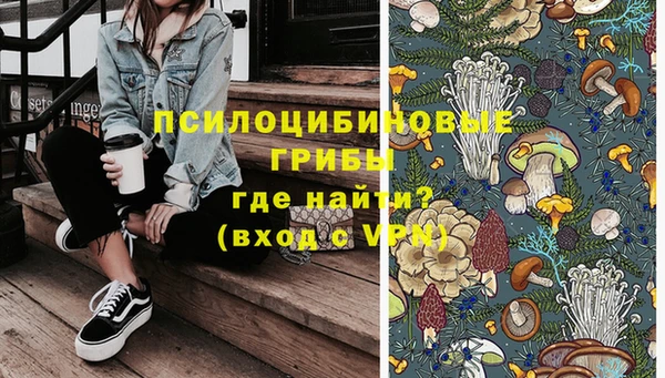 прущие грибы Алексеевка