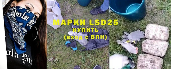 прущие грибы Алексеевка