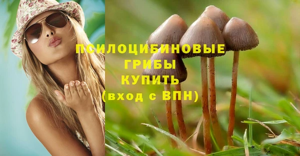 прущие крисы Алзамай
