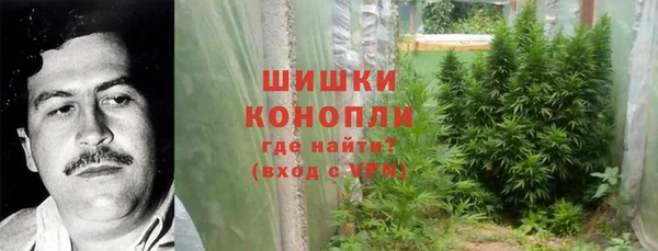 молекула духа Аркадак