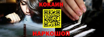 шишки Гай