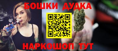 шишки Гай