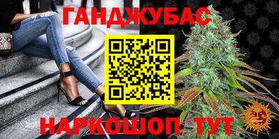 шишки Гай