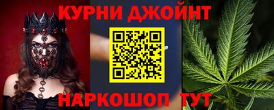 шишки Гай