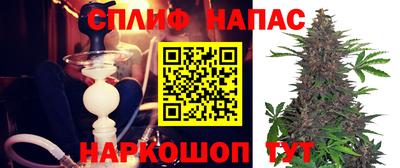 шишки Гай