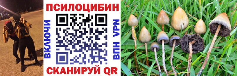 kraken зеркало  Лянтор  Псилоцибиновые грибы MAGIC MUSHROOMS 